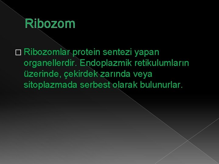 Ribozom � Ribozomlar protein sentezi yapan organellerdir. Endoplazmik retikulumların üzerinde, çekirdek zarında veya sitoplazmada