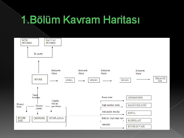 1. Bölüm Kavram Haritası 