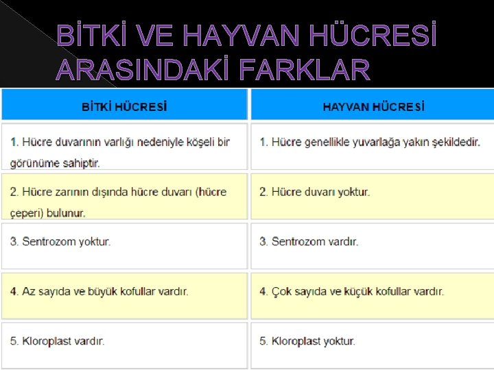 BİTKİ VE HAYVAN HÜCRESİ ARASINDAKİ FARKLAR 