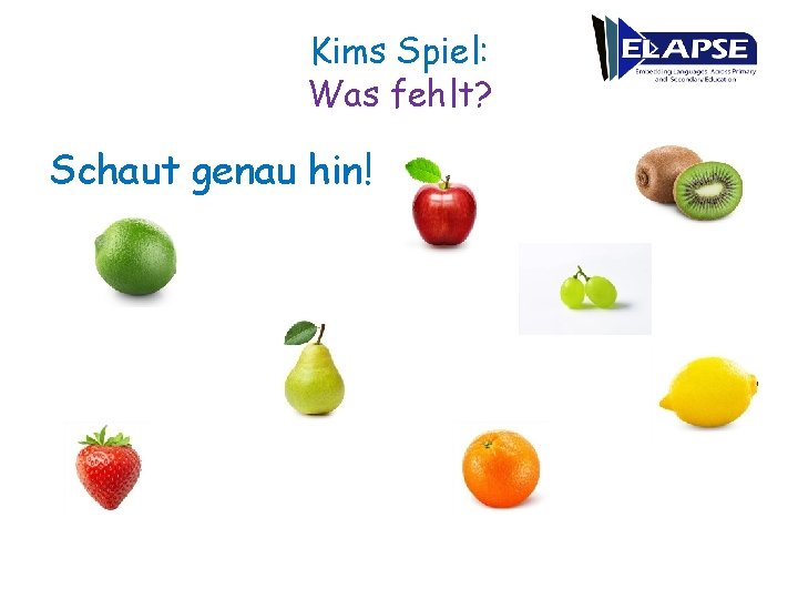 Kims Spiel: Was fehlt? Schaut genau hin! 