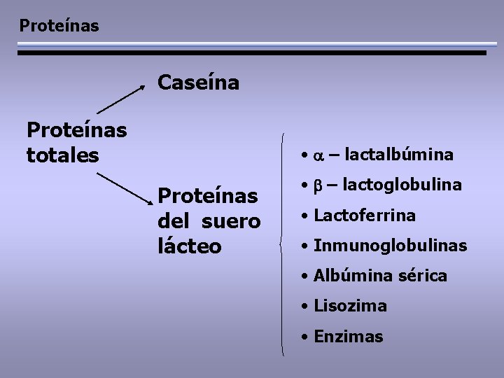 Proteínas Caseína Proteínas totales • a – lactalbúmina Proteínas del suero lácteo • b