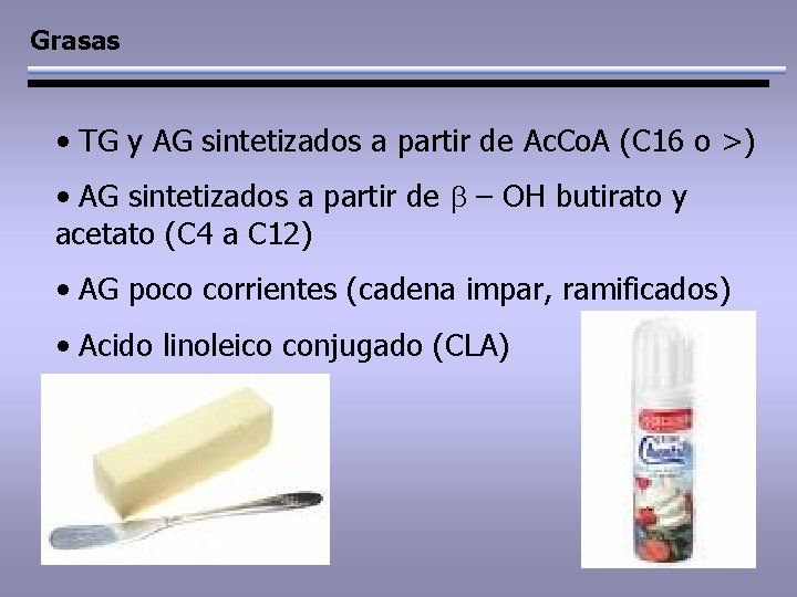 Grasas • TG y AG sintetizados a partir de Ac. Co. A (C 16