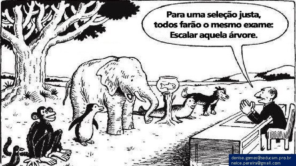 denise. gomes@seducam. pro. br neice. pereira@gmail. com 