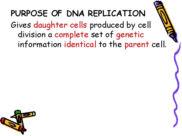 PURPOSE OF DNA REPLICATION Gives daughter cells produced by cell division a complete set