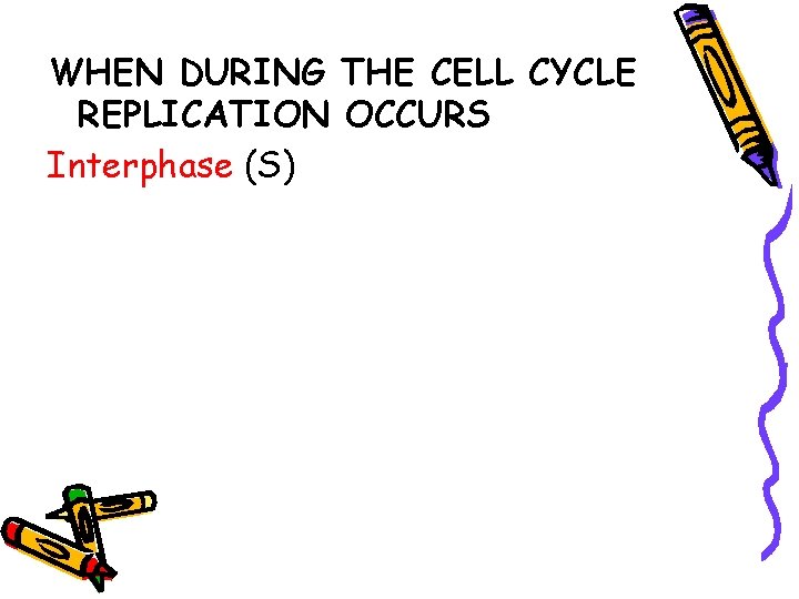WHEN DURING THE CELL CYCLE REPLICATION OCCURS Interphase (S) 