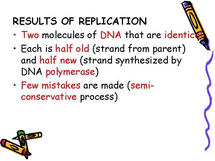 RESULTS OF REPLICATION • Two molecules of DNA that are identical • Each is