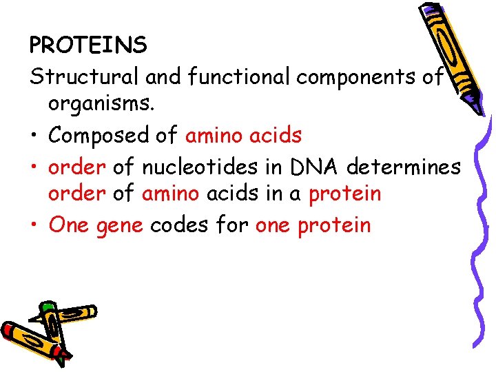 PROTEINS Structural and functional components of organisms. • Composed of amino acids • order