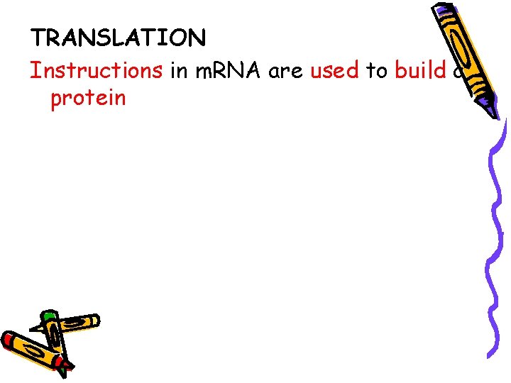 TRANSLATION Instructions in m. RNA are used to build a protein 