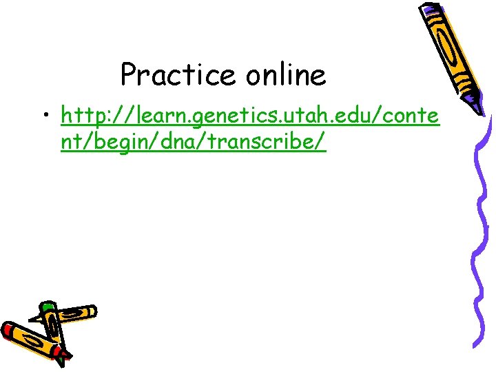 Practice online • http: //learn. genetics. utah. edu/conte nt/begin/dna/transcribe/ 