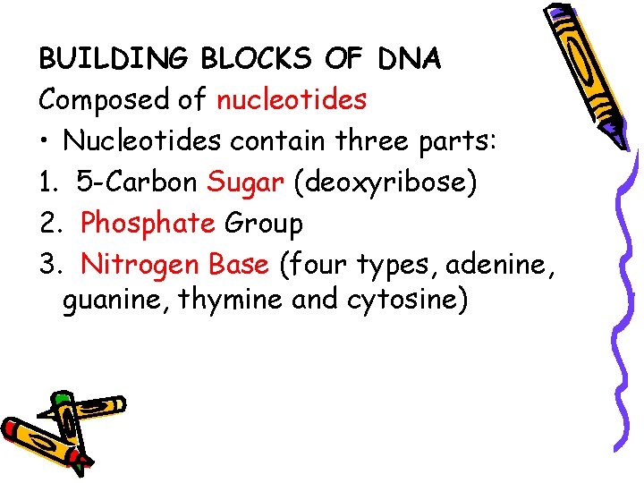 BUILDING BLOCKS OF DNA Composed of nucleotides • Nucleotides contain three parts: 1. 5