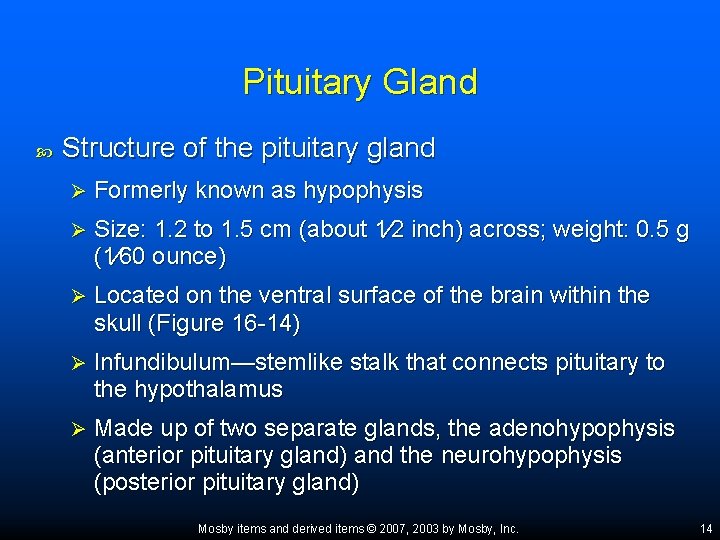 Pituitary Gland Structure of the pituitary gland Ø Formerly known as hypophysis Ø Size: