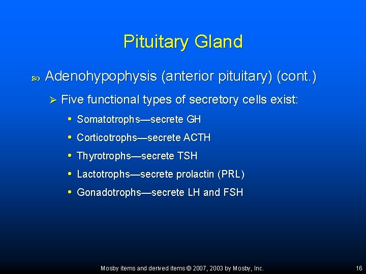 Pituitary Gland Adenohypophysis (anterior pituitary) (cont. ) Ø Five functional types of secretory cells