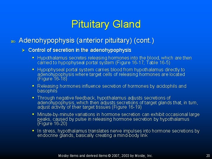 Pituitary Gland Adenohypophysis (anterior pituitary) (cont. ) Ø Control of secretion in the adenohypophysis