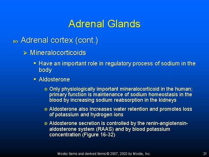 Adrenal Glands Adrenal cortex (cont. ) Ø Mineralocorticoids • Have an important role in