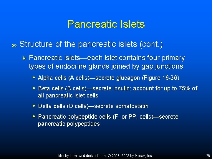Pancreatic Islets Structure of the pancreatic islets (cont. ) Ø Pancreatic islets—each islet contains