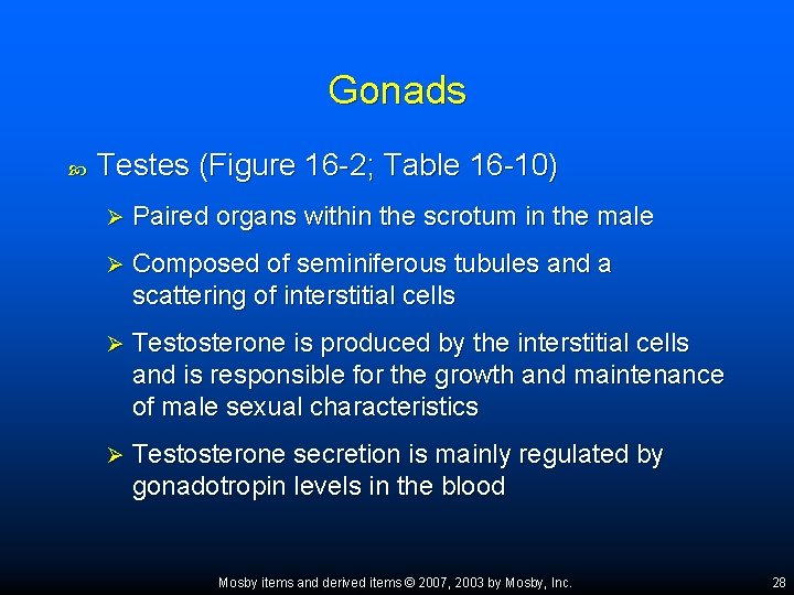 Gonads Testes (Figure 16 -2; Table 16 -10) Ø Paired organs within the scrotum