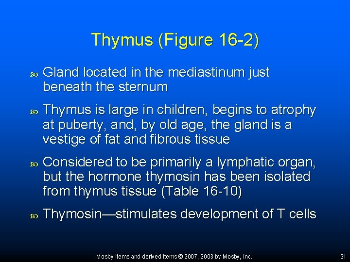 Thymus (Figure 16 -2) Gland located in the mediastinum just beneath the sternum Thymus