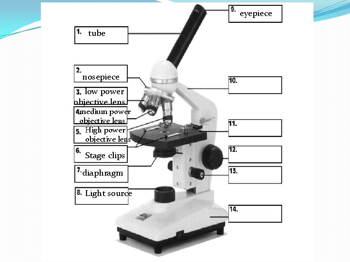 eyepiece tube nosepiece low power objective lens medium power objective lens High power objective