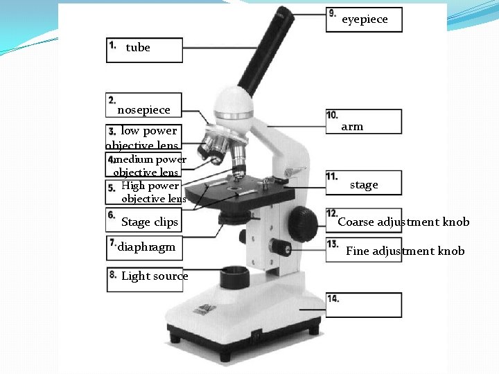 eyepiece tube nosepiece low power objective lens medium power objective lens High power objective