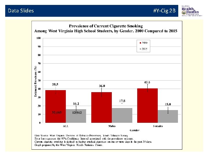 Data Slides #Y-Cig 2 B 
