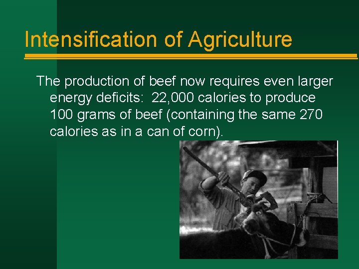 Intensification of Agriculture The production of beef now requires even larger energy deficits: 22,