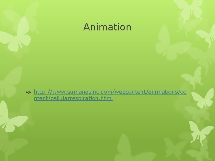Animation http: //www. sumanasinc. com/webcontent/animations/co ntent/cellularrespiration. html 