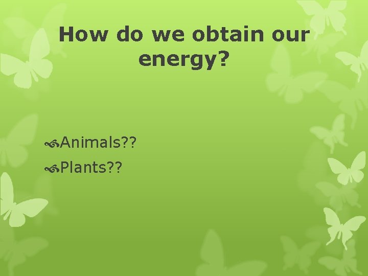 How do we obtain our energy? Animals? ? Plants? ? 
