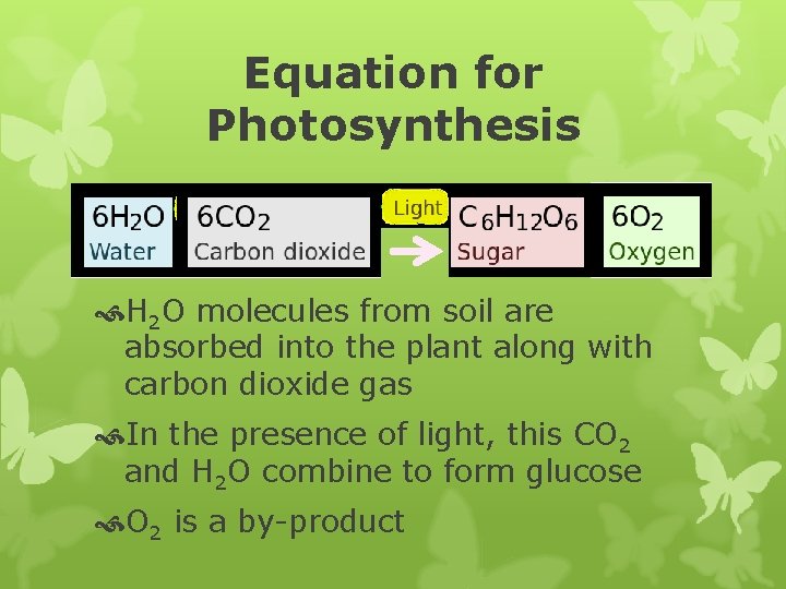 Equation for Photosynthesis H 2 O molecules from soil are absorbed into the plant