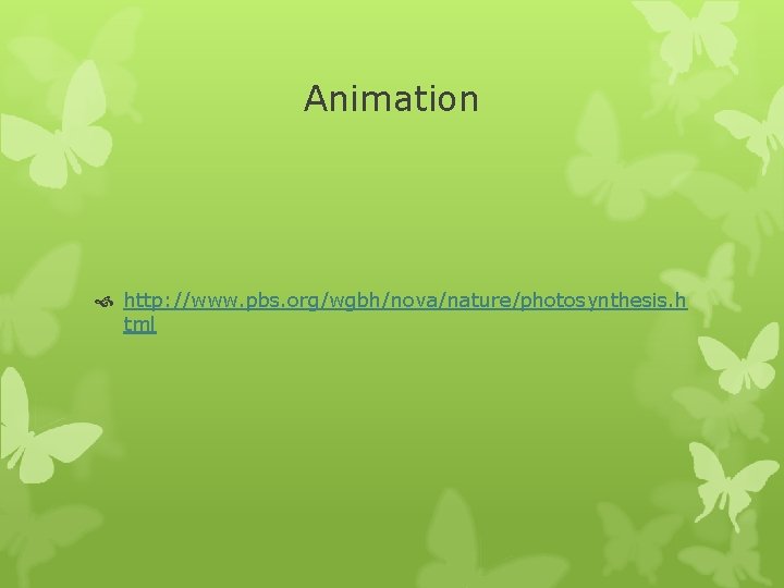 Animation http: //www. pbs. org/wgbh/nova/nature/photosynthesis. h tml 
