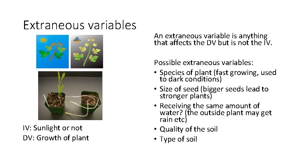 Extraneous variables IV: Sunlight or not DV: Growth of plant An extraneous variable is