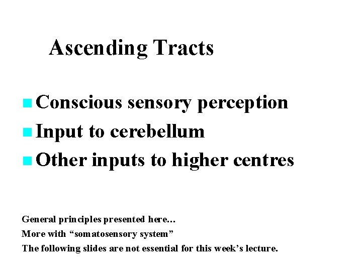 Ascending Tracts n Conscious sensory perception n Input to cerebellum n Other inputs to