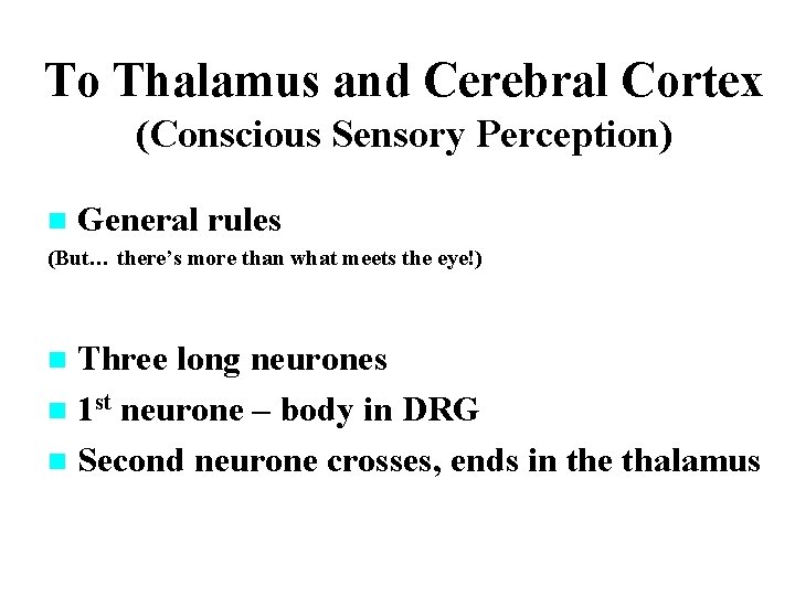 To Thalamus and Cerebral Cortex (Conscious Sensory Perception) n General rules (But… there’s more