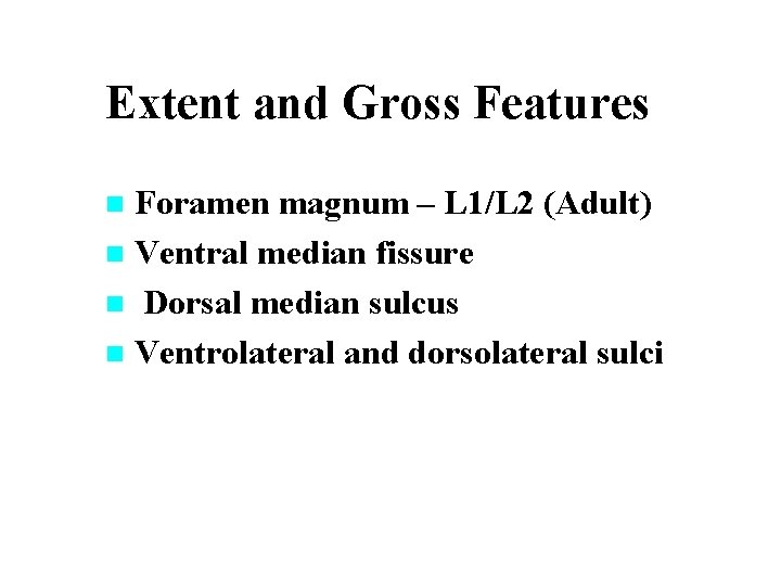 Extent and Gross Features Foramen magnum – L 1/L 2 (Adult) n Ventral median