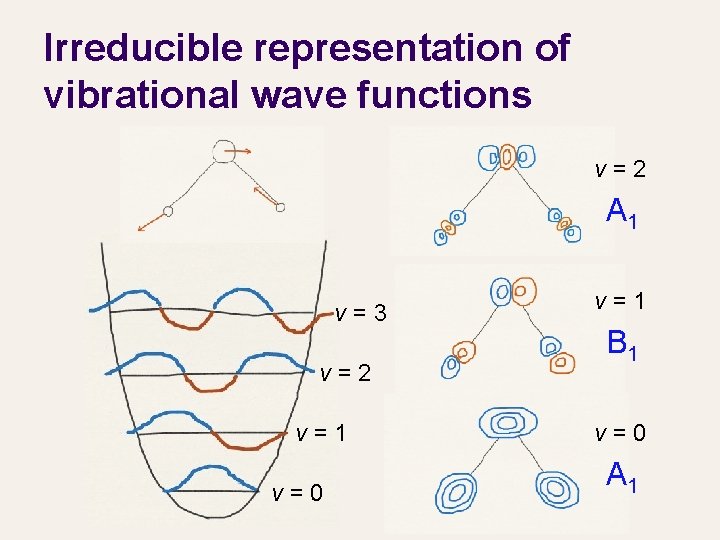 Irreducible representation of vibrational wave functions v=2 A 1 v=3 v=2 v=1 v=0 v=1