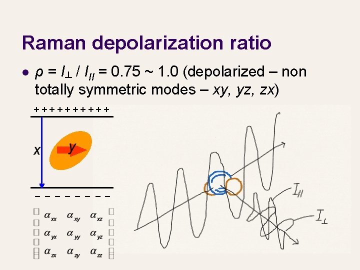 Raman depolarization ratio l ρ = I┴ / III = 0. 75 ~ 1.