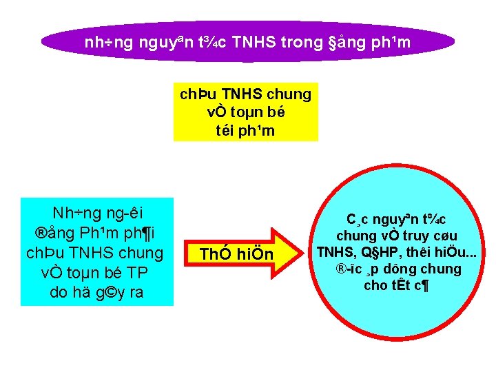 nh÷ng nguyªn t¾c TNHS trong §ång ph¹m chÞu TNHS chung vÒ toµn bé téi