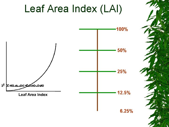 Leaf Area Index (LAI) 100% 50% 25% 12. 5% 6. 25% Leaf Area Index (LAI) 100% 50% 25% 12. 5% 6. 25%