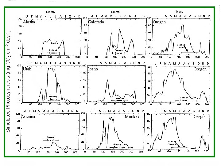 Simulated Photosynthesis (mg CO 2 dm-2 day-1) 100 Month J F M A M Simulated Photosynthesis (mg CO 2 dm-2 day-1) 100 Month J F M A M