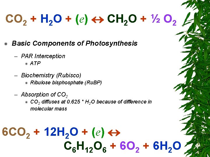 CO 2 + H 2 O + (e) CH 2 O + ½ O CO 2 + H 2 O + (e) CH 2 O + ½ O