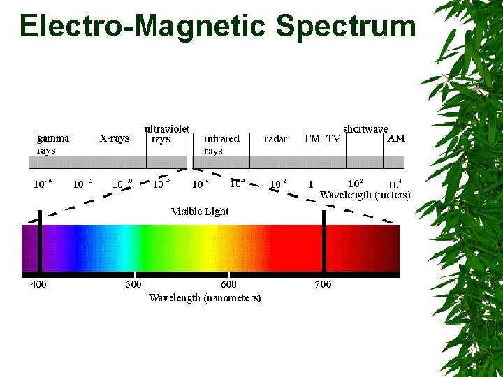 Electro-Magnetic Spectrum Electro-Magnetic Spectrum