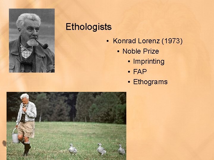 Ethologists • Konrad Lorenz (1973) • Noble Prize • Imprinting • FAP • Ethograms Ethologists • Konrad Lorenz (1973) • Noble Prize • Imprinting • FAP • Ethograms