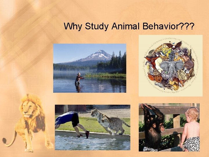 Why Study Animal Behavior? ? ? 