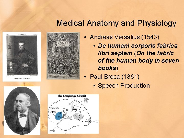 Medical Anatomy and Physiology • Andreas Versalius (1543) • De humani corporis fabrica libri Medical Anatomy and Physiology • Andreas Versalius (1543) • De humani corporis fabrica libri