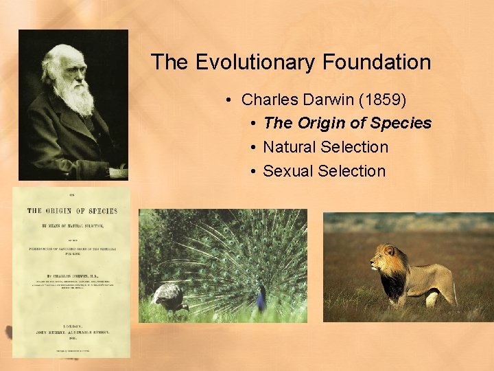 The Evolutionary Foundation • Charles Darwin (1859) • The Origin of Species • Natural