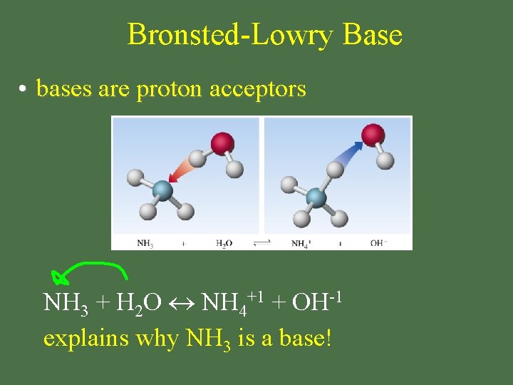 Bronsted-Lowry Base • bases are proton acceptors NH 3 + H 2 O NH