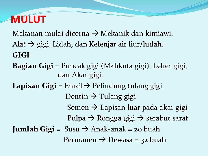 MULUT Makanan mulai dicerna Mekanik dan kimiawi. Alat gigi, Lidah, dan Kelenjar air liur/ludah.