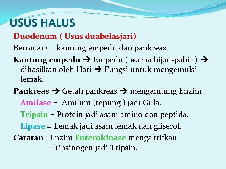 USUS HALUS Duodenum ( Usus duabelasjari) Bermuara = kantung empedu dan pankreas. Kantung empedu