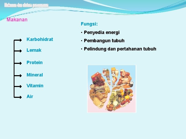 Makanan Fungsi: • Penyedia energi Karbohidrat • Pembangun tubuh Lemak • Pelindung dan pertahanan