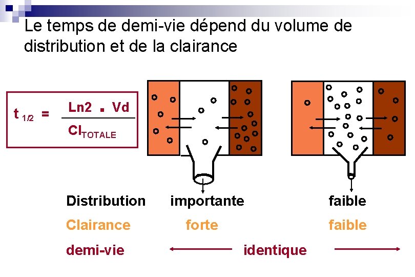 Le temps de demi-vie dépend du volume de distribution et de la clairance t