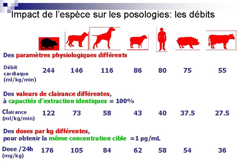 Impact de l’espèce sur les posologies: les débits Des paramètres physiologiques différents Débit cardiaque